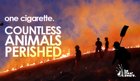 One Cigarette. Countless animals perished.