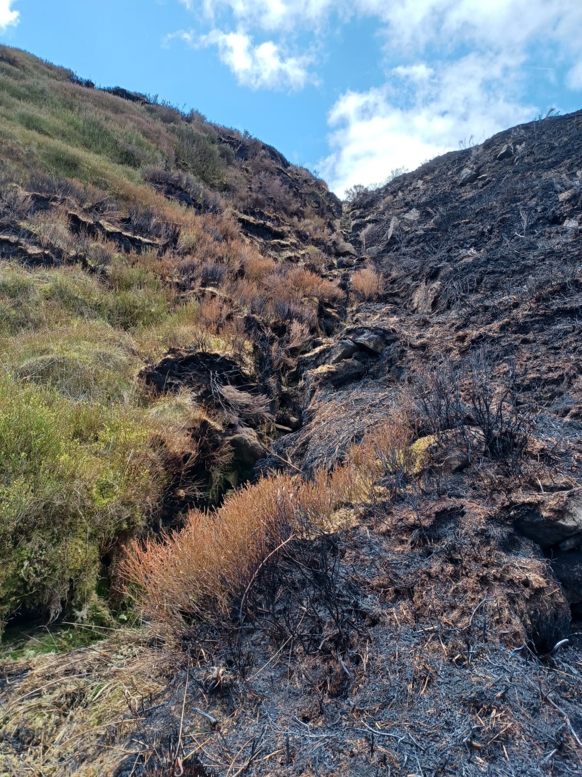 Marsden Moor fire aftermath 