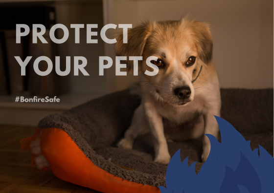 Protect your pets