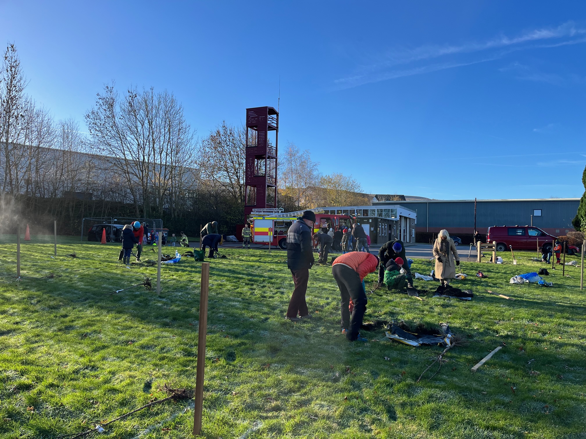 orchard planting