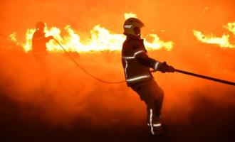 Cornfield Fire Summer of 2022