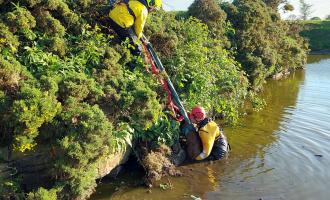 Cleckheaton TRT Crew rescuing the calf from open water