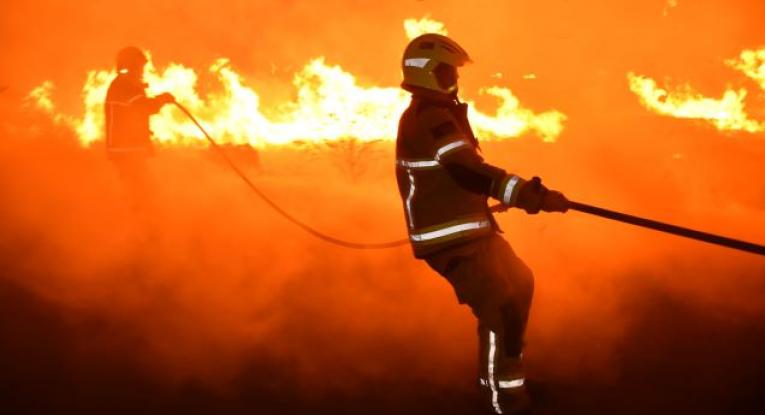 Cornfield Fire Summer of 2022