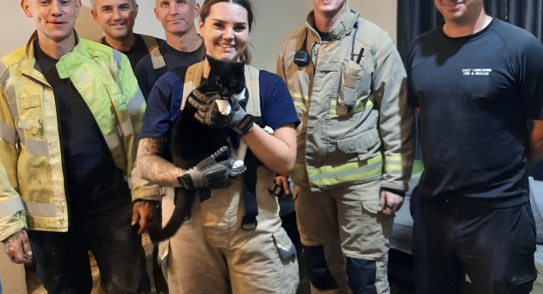 Crew group photo holding black cat