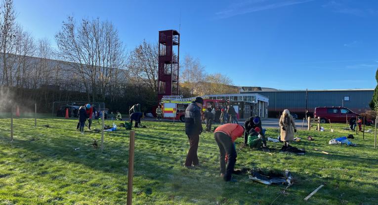 orchard planting